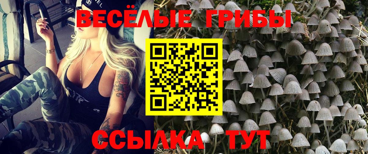 Галлюциногенные грибы мухоморы  Вход с VPN  Люберцы 