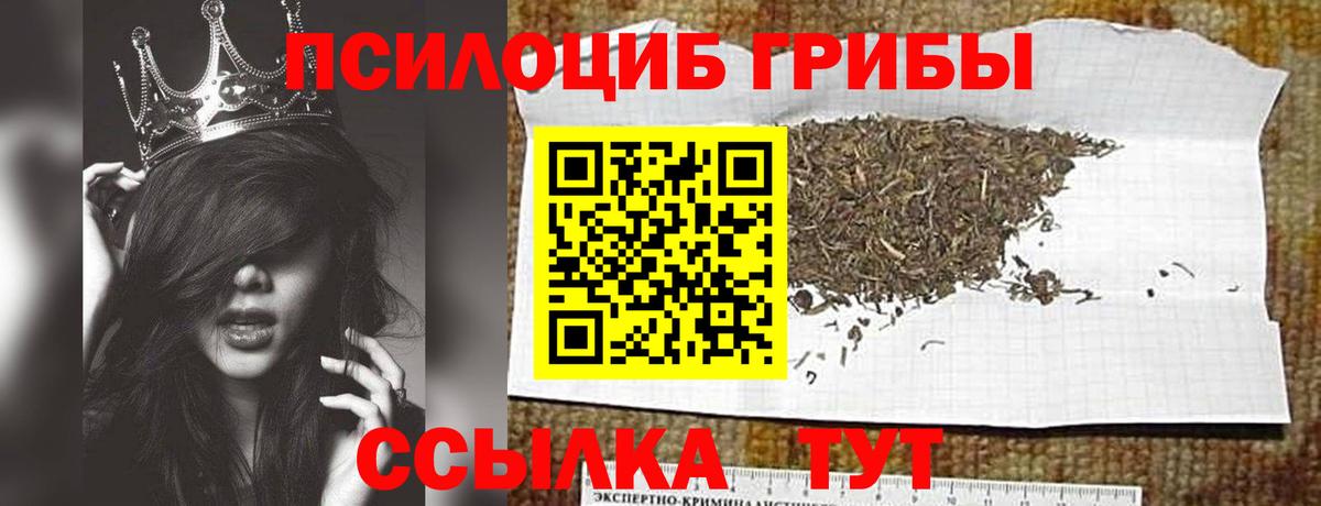 Галлюциногенные грибы Люберцы